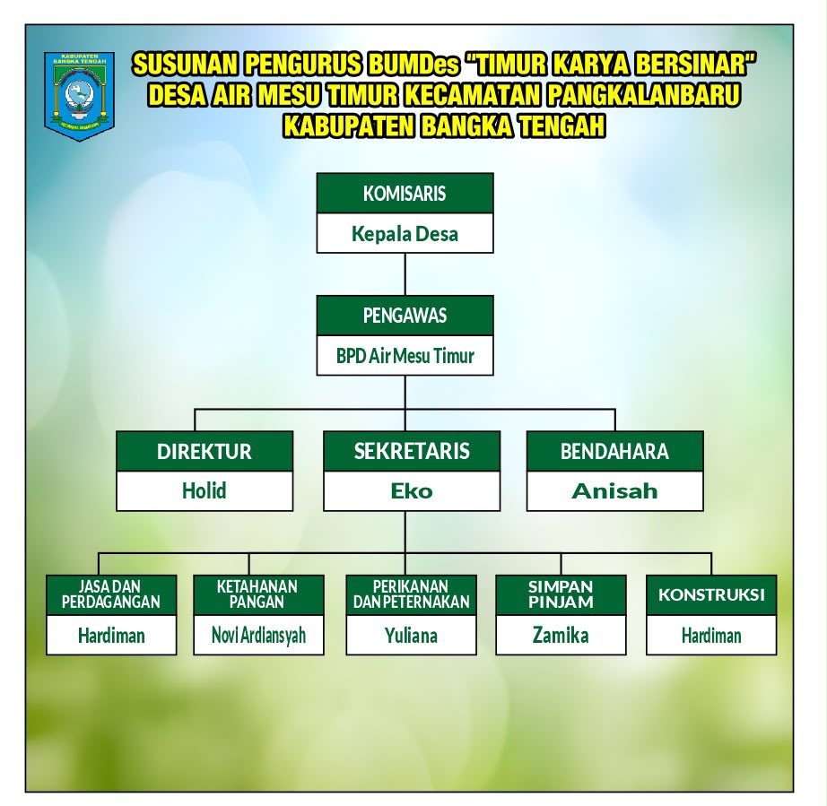 SETRUKTUR BUMDES KARYA TIMUR BERSINAR